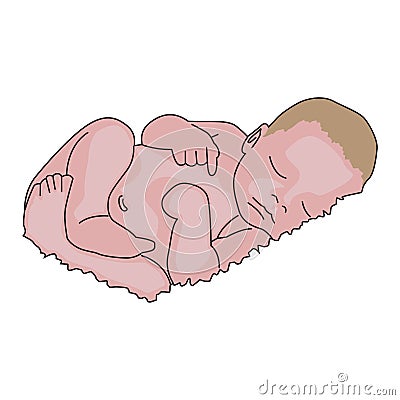 Vector realistic drawn baby on white. Cute little newborn, sleeps. Vector Illustration