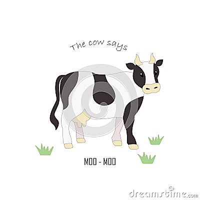 Vector realistic drawn spotted standing cow on a light background. Educational card with domestic farm animal Vector Illustration