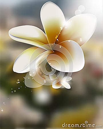 Vector realistic flower on blurred background Stock Photo