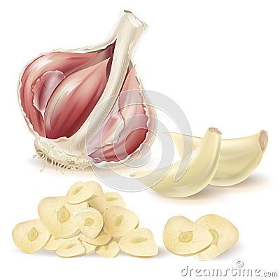 Vector realistic garlic, peeled cloves and slices Vector Illustration