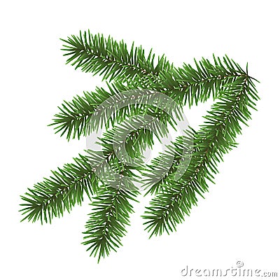 Vector realistic green coniferous branch isolated on white background - christmas decoration Vector Illustration