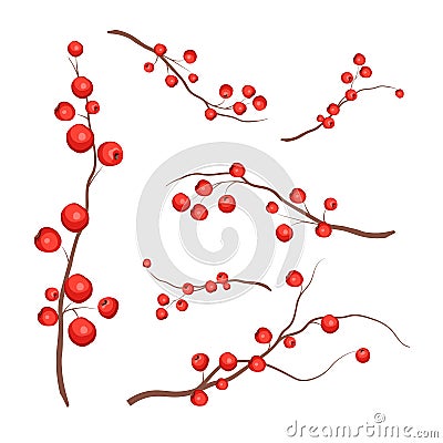 Vector realistic holly ilex branch with berry set Vector Illustration