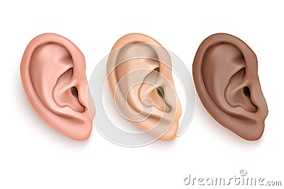 Vector realistic human ear iocn set closeup isolated on white background. Vector Illustration