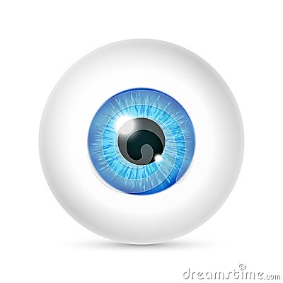 Vector realistic human eyeball Vector Illustration