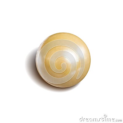 Vector Realistic Pearl Isolated on White Background, Single Natural Oyster Pearl. Vector Illustration