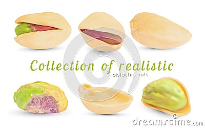 Vector realistic pistachio nuts with dry 3d shell. Vector Illustration