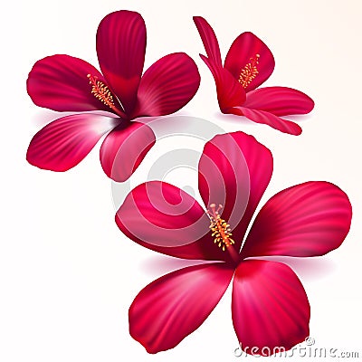 Vector realistic purple flowers Vector Illustration