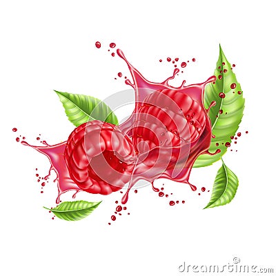Vector realistic raspberry splash flow with leaves Vector Illustration