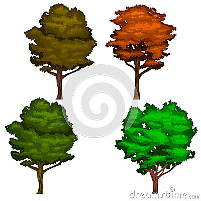 Vector Realistic Shady Tree Illustrations in Green and Orange Colors Vector Illustration