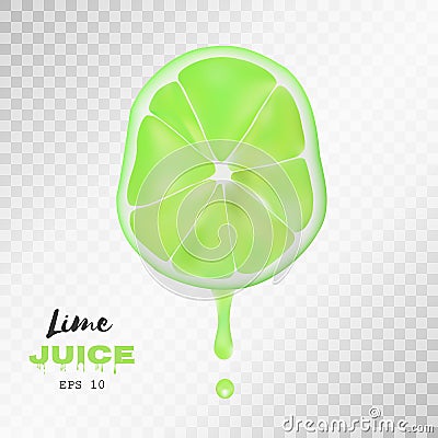 Vector realistic sliced lime with drop of juice. Transparent background Vector Illustration