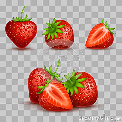 Vector realistic sweet and fresh strawberry isolated on transparent background Vector Illustration