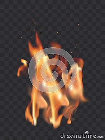 Vector realistic transparent illustration of burning fire flames Vector Illustration