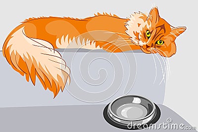 Vector Red fluffy tabby cat with yellow eyes Vector Illustration