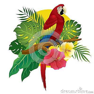 Red macaw sit on branch of tree Vector Illustration