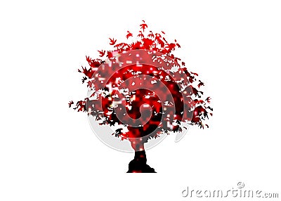 Vector red maple tree icon isolated on white background. Acer Palmatum, Deshojo, Japanese maple plant bonsai Scarlet tree Vector Illustration