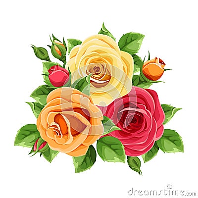 Red, orange and yellow roses isolated on white. Vector illustration. Vector Illustration