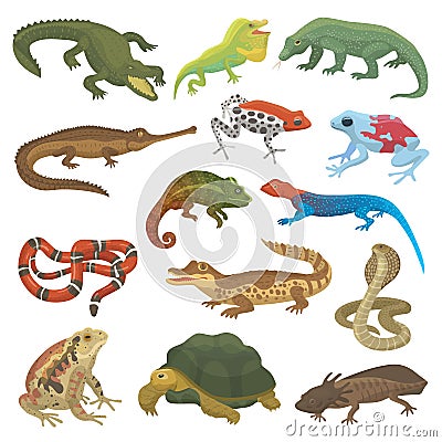 Vector reptile nature lizard animal wildlife wild chameleon, snake, turtle, crocodile illustration of reptilian Vector Illustration