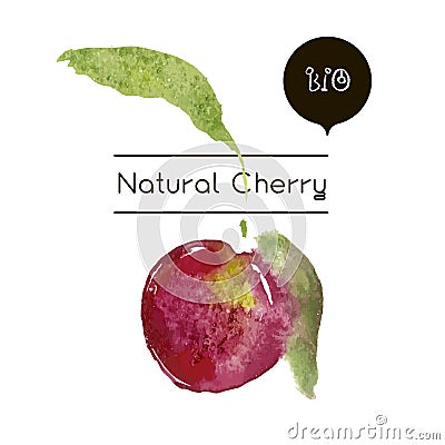 Vector ripe fresh nature cherry Stock Photo