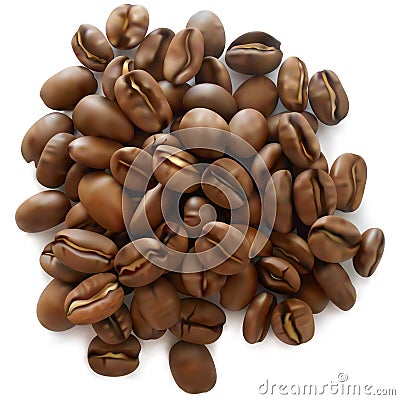 Vector Roasted Coffee Beans Vector Illustration