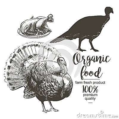 Vector Roasted Turkey Cartoon Illustration