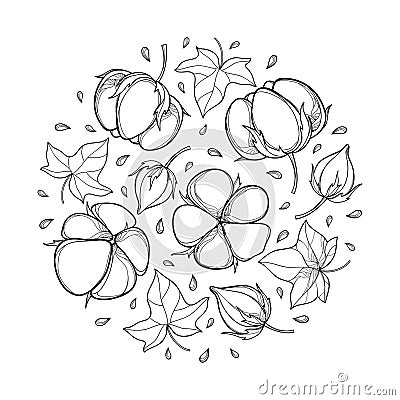 Vector round composition with outline Cotton boll, leaf and capsule in black isolated on white background. Ornate Cotton plant. Vector Illustration