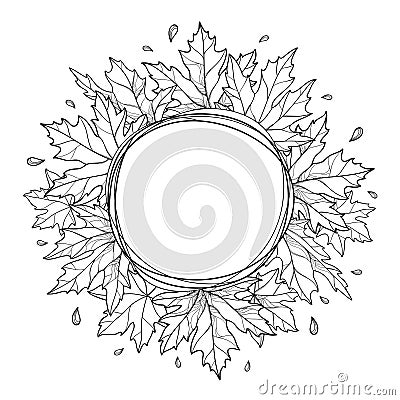 Vector round frame of bunch with outline Acer or Maple ornate leaf in black isolated on white background. Vector Illustration