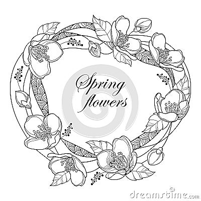 Vector round frame with outline Jasmine flowers, bud and leaves isolated on white background. Floral elements for spring design. Vector Illustration