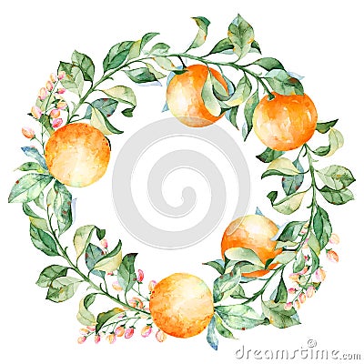 Vector round frame of watercolor orange and flowers. Watercolor illustration wreath of mandarin and leaves Vector Illustration