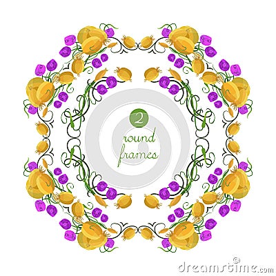 Vector round frames with garlic with seeds in origami style Vector Illustration