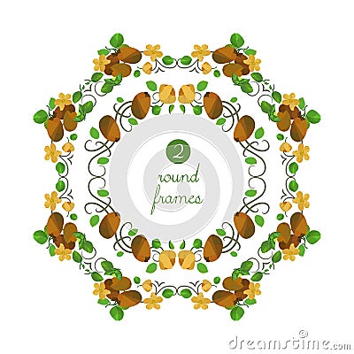Vector round frames with kiwi and flower Vector Illustration