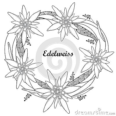 Vector round wreath with outline Edelweiss or Leontopodium alpinum flower isolated on white. Symbol of Alp Mountains. Vector Illustration