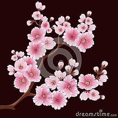 Vector sakura flower branch element. Elegant element for your design. Cherry blossom Vector Illustration