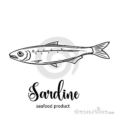 Vector sardine. Vector Illustration