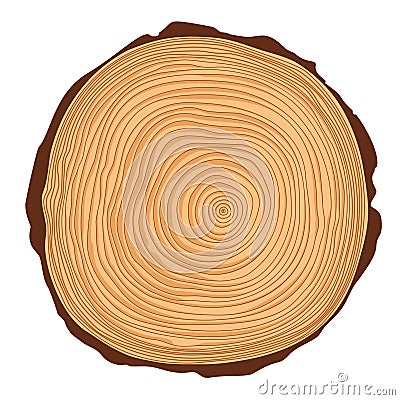 Vector saw crosscut tree trunk Vector Illustration