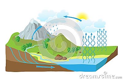 Vector schema of the water cycle in nature Stock Photo