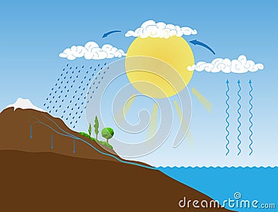 Vector schema of the water cycle in nature Vector Illustration