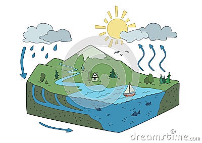 Vector schematic representation of the water cycle in nature. Isometric infographics Illustration. Vector Illustration