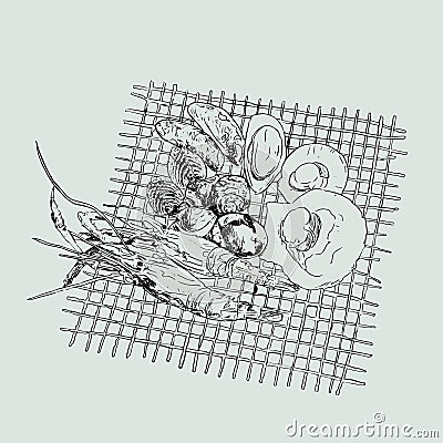 Vector Seafood illustrations set. Vector Illustration