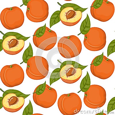 Vector seamless background with peaches on a white background. Vector Illustration