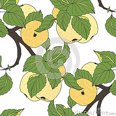 Vector Seamless Colored Fruit Pattern Vector Illustration