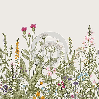 Vector seamless floral border. Vector Illustration