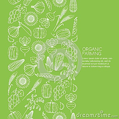 Vector seamless green background with vegetables and cereal grains icons. Vector Illustration