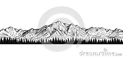 Vector seamless mountain with coniferous forest sketch, endless panorama. Vector Illustration