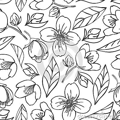 Vector seamless outlined pattern with jasmine elements Cartoon Illustration