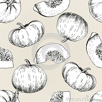 Vector seamless patern of pumpkin. Hand drawn engraved vintage illustration. Autumn harvest. Cartoon Illustration