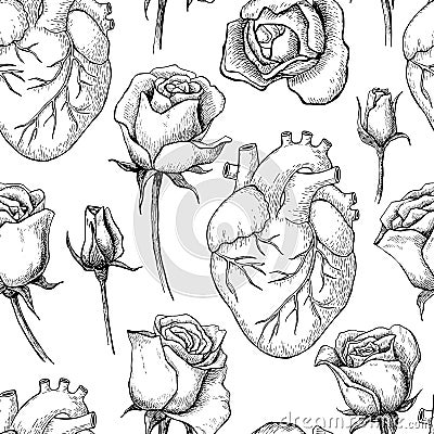 Vector seamless pattern with anatomical human heart and botanical roses. Vector Illustration