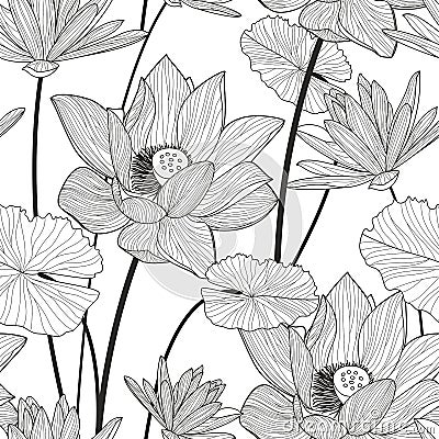 Vector seamless pattern with beautiful lotus flower. Black and w Vector Illustration