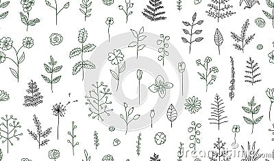 Vector seamless pattern of black and white flowers, herbs, plants. Vector Illustration