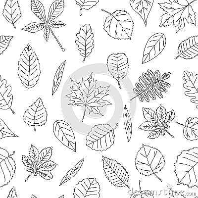 Vector seamless pattern of black and white leaves Vector Illustration