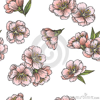 Vector seamless pattern with blooming almond Vector Illustration